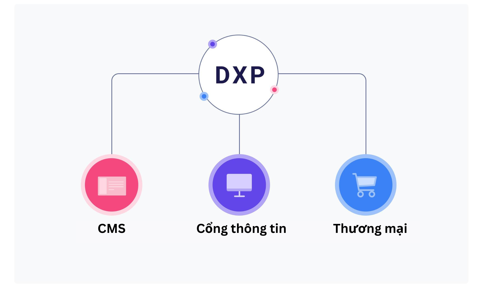 DXP bắt nguồn từ CMS. cổng thông tin. và thường mại