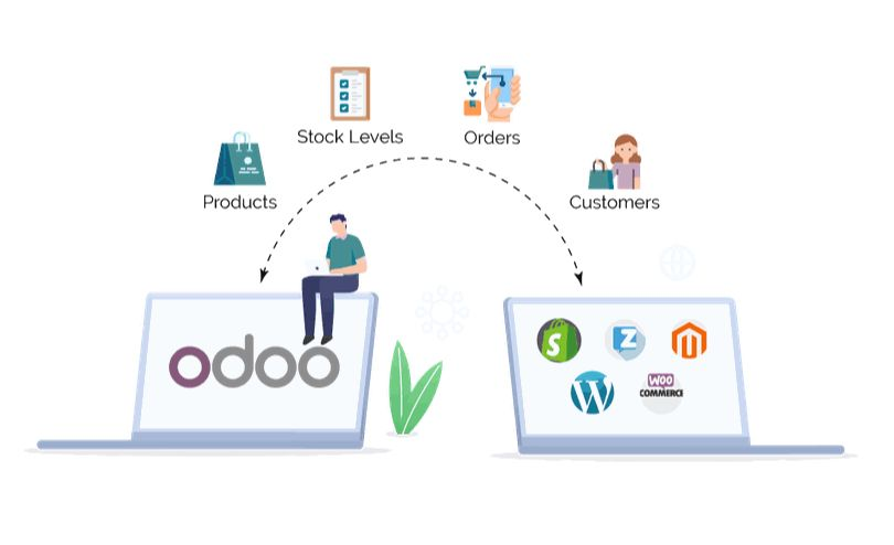 Các tiêu chí so sánh nền tảng website bao gồm: Sản phẩm, khách hàng,...